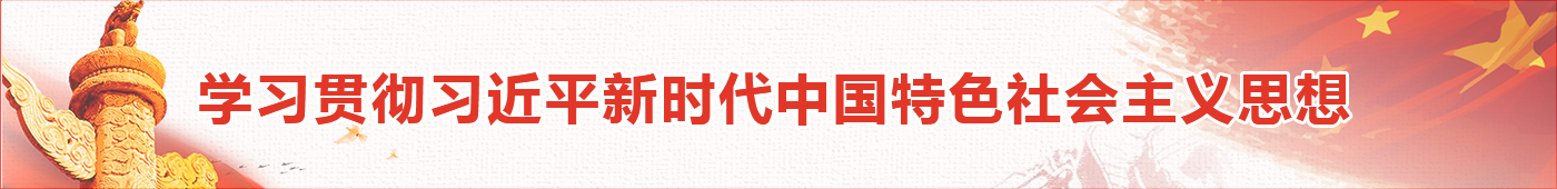 河南调查总队外网