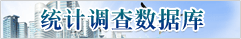 统计调查数据库
